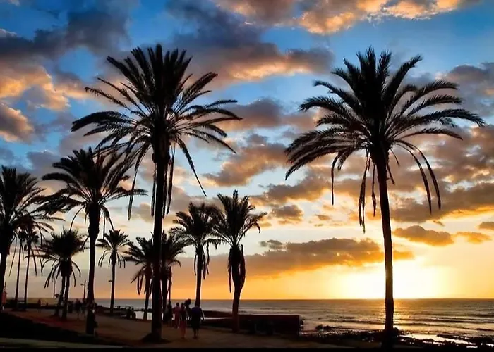 Ola Serena アデヘ